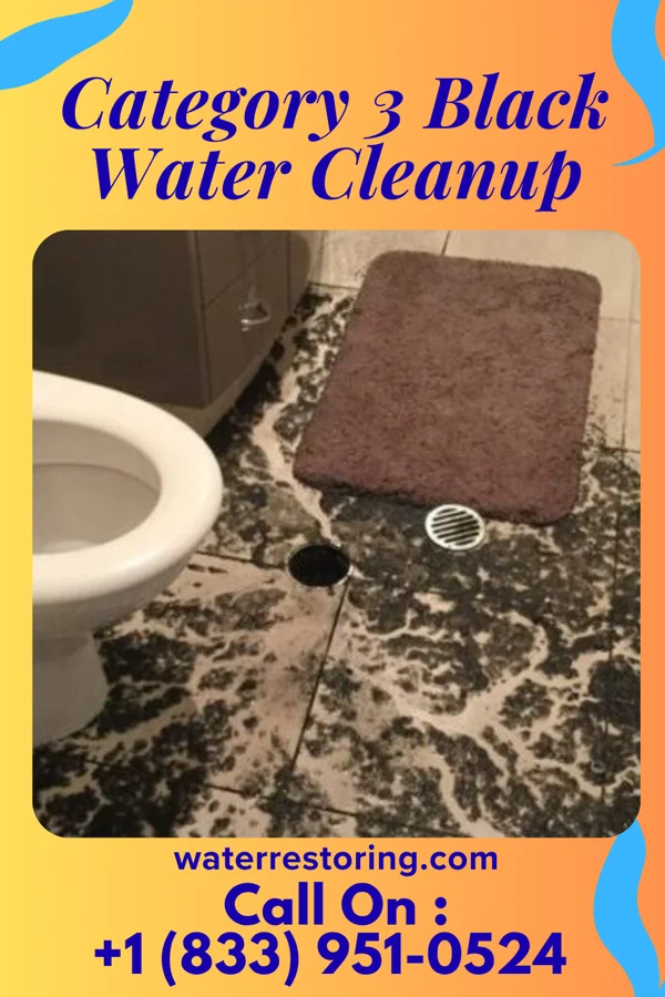 Category 3 Black Water Cleanup in Tracy, MT